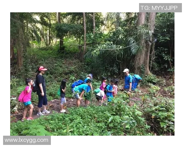 实时新闻南京攀岩队的默契配合与挑战精神探秘之旅